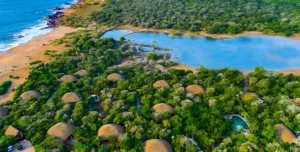 Uga - arenatours.com -