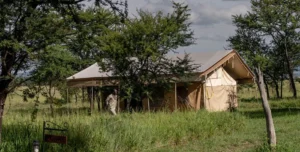 Acacia Central Camp - arenatours.com -
