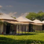 Acacia Central Camp - arenatours.com -