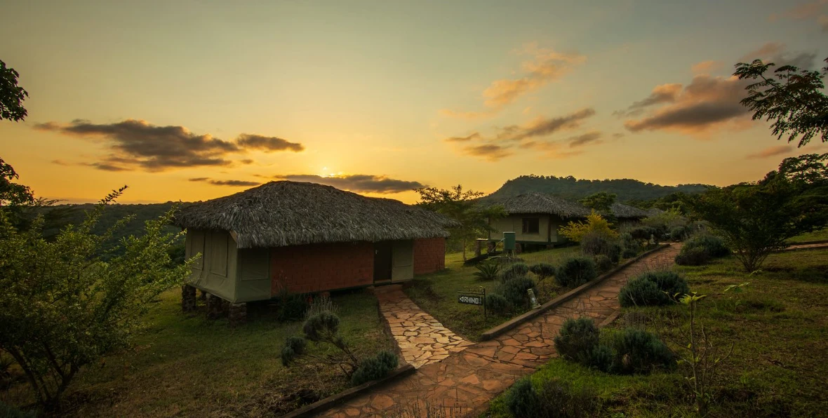 Karatu Simba Lodge - arenatours.com -