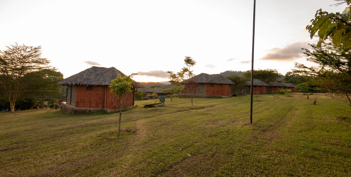 Karatu Simba Lodge - arenatours.com -