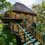 Kyaninga - arenatours.com -