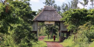 Neptune Ngonongoro - arenatours.com -