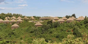 Neptune Ngonongoro - arenatours.com -