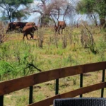 Tarangire Sopa Lodge - arenatours.com -