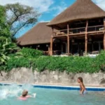 Turaco - arenatours.com -