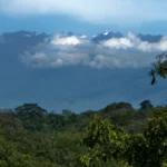 Turaco - arenatours.com -