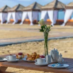 Sealine Camp Qatar - arenatours.com -