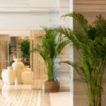 St Regis - arenatours.com -