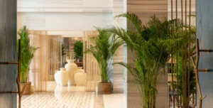 St Regis - arenatours.com -