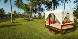 Thaala - arenatours.com -
