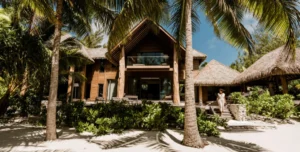 Thebrando - arenatours.com