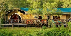 Fairmontmara - arenatours.com