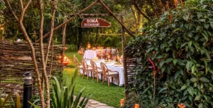 Fairmontmara - arenatours.com