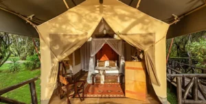 Fairmontmara - arenatours.com