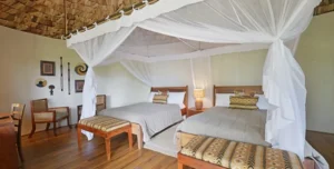 Mahogany - arenatours.com