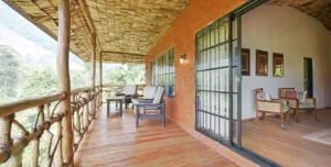 Mahogany - arenatours.com