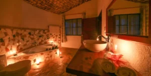 Mahogany - arenatours.com