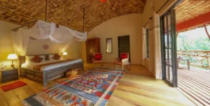 Mahogany - arenatours.com