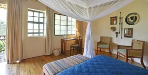 Mahogany - arenatours.com