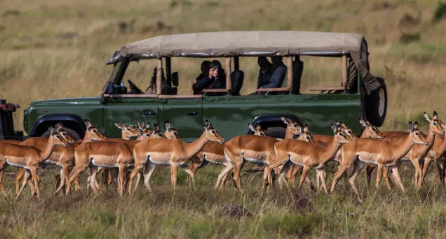 Galería De Imágenes Viaje A Tanzania Y Zanzíbar Safaris - arenatours.com - Viaje a Tanzania