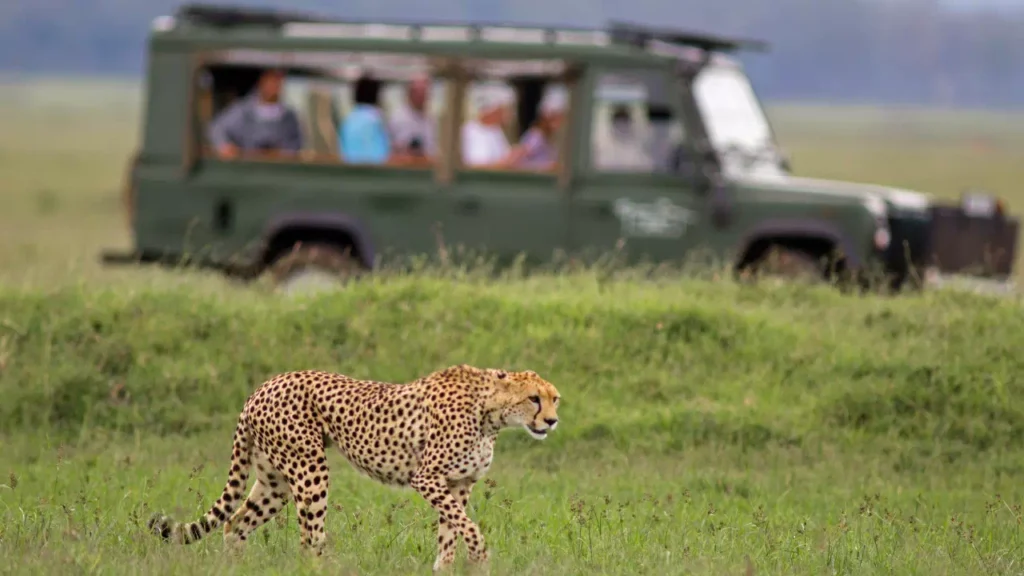 Viaje A Tanzania Y Zanzíbar Consejos Prácticos - arenatours.com - Viaje a Tanzania