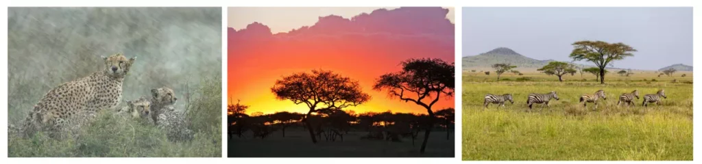 Climas En Tanzania - arenatours.com