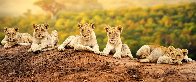 Kenya