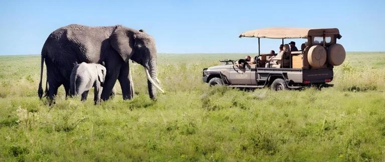 Tanzanie
