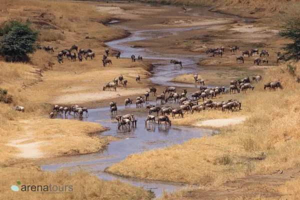 Clima Tanzania - arenatours.com