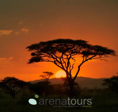 Guía De Viajes A Tanzania - arenatours.com