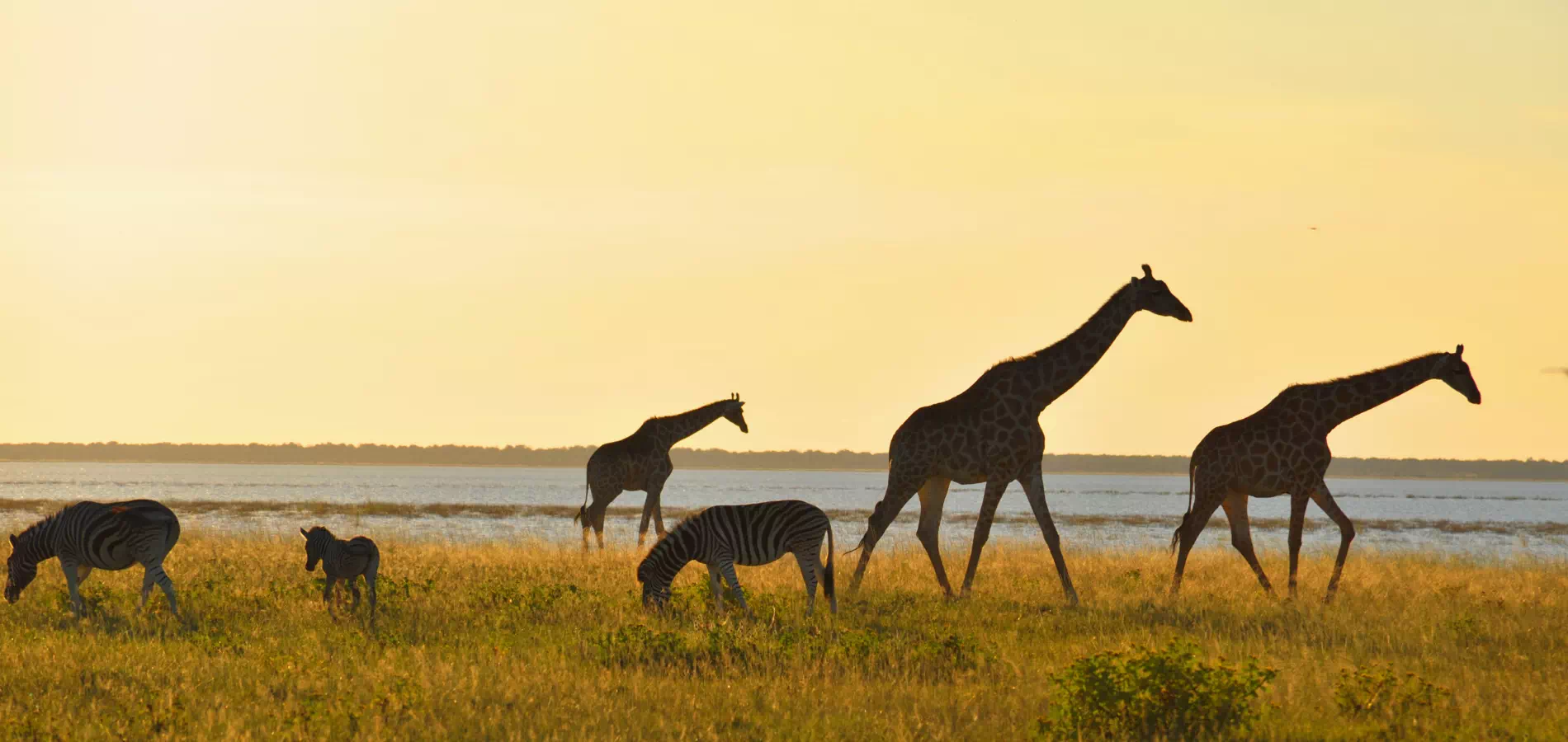 Guía de viaje a Tanzania