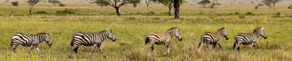 Que Ver - arenatours.com