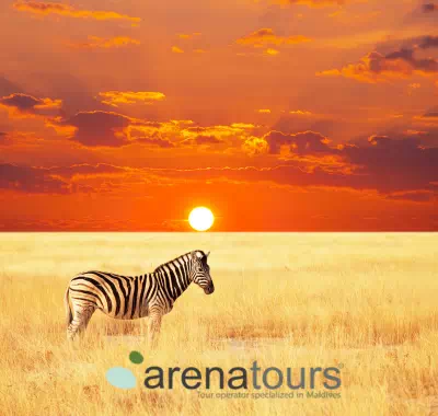 Serengueti Tanzania - arenatours.com