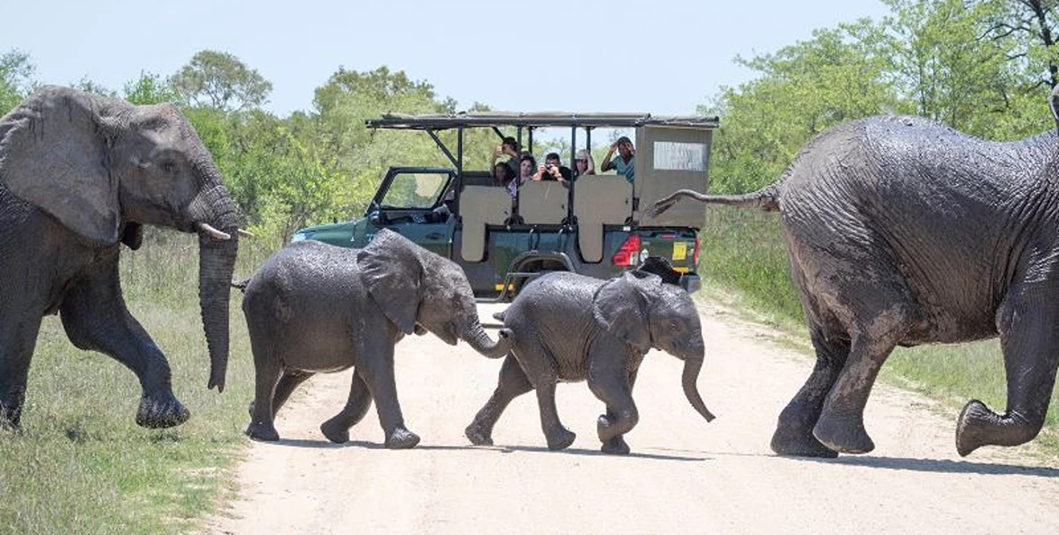 Anewresorthazyviewkrugerpark - arenatours.com