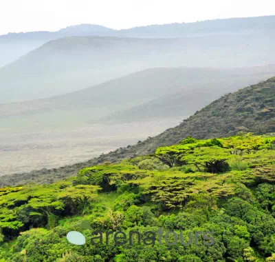 Cráter De Ngorongoro - arenatours.com