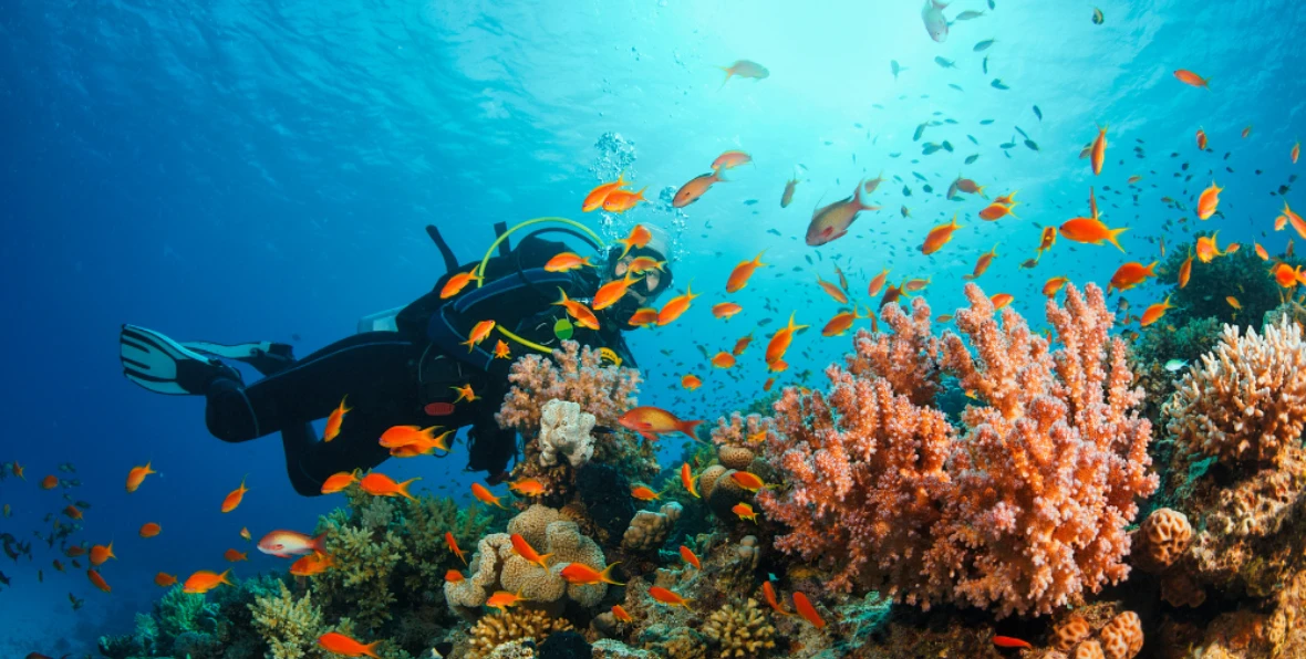 Nooe Servicios - arenatours.com