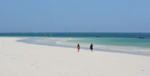 Nwptumepalmboutique - arenatours.com