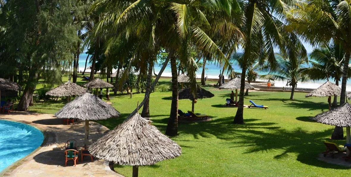 Nwptumepalmboutique - arenatours.com