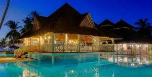 Nwptumepalmboutique - arenatours.com