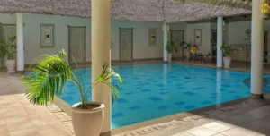 Nwptumepalmboutique - arenatours.com