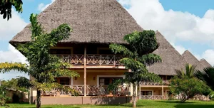 Nwptumepalmboutique - arenatours.com