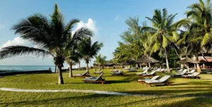 Nwptumepalmboutique - arenatours.com