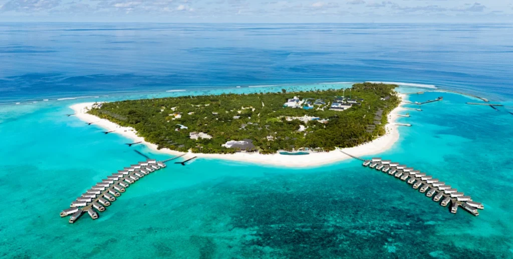 Mar de estrellas en Raaya - arenatours.com