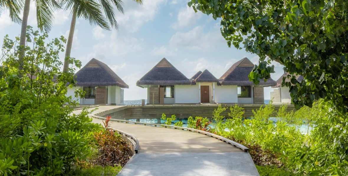 Dusitd Feydhoo Maldives - arenatours.com