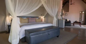 Elephan Plains - arenatours.com