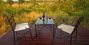 Elephan Plains - arenatours.com