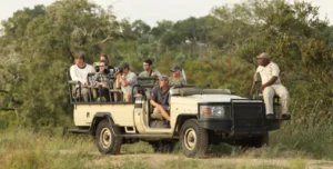 Elephan Plains - arenatours.com
