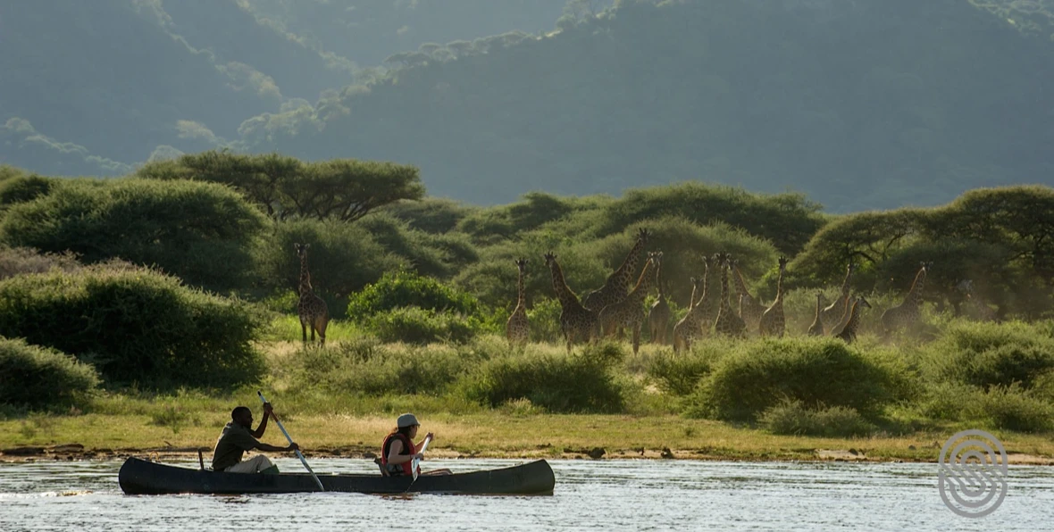 Lake Manyara - arenatours.com
