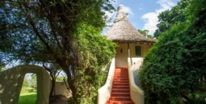 Lake Manyara - arenatours.com